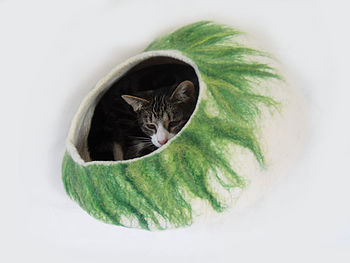 Cat Bed In Two Tone Colour With Ball, 4 of 8