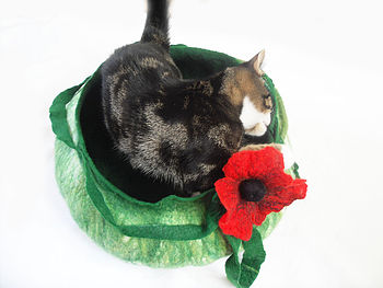 Cat Bed Basket With Poppy Flower, 2 of 5