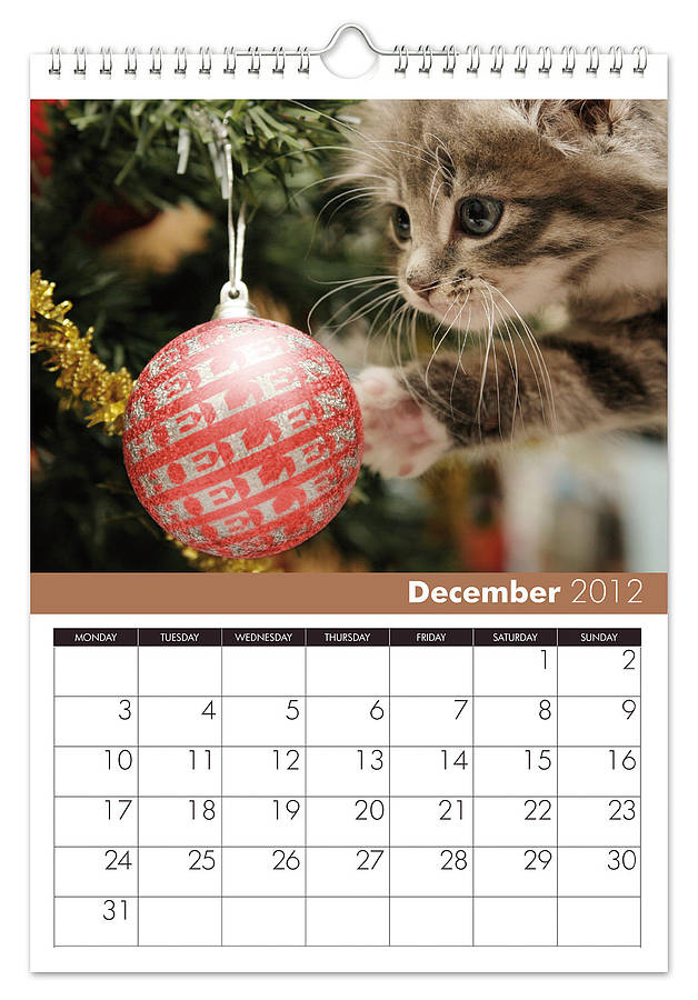 Cats Personalised Calendar By TheLittleBoysRoom