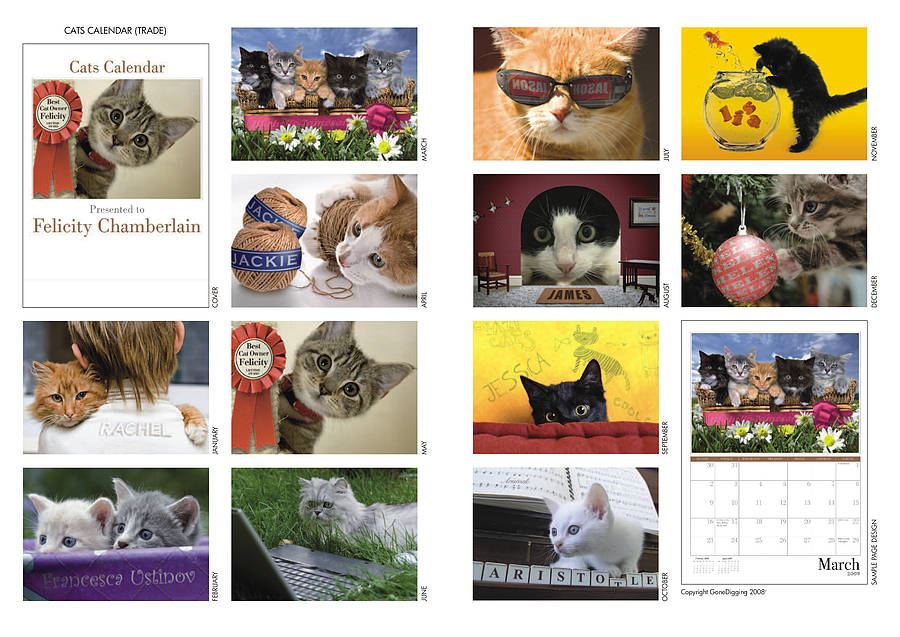 Cats Personalised Calendar By TheLittleBoysRoom | notonthehighstreet.com