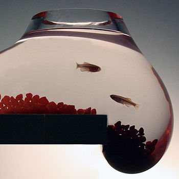 Bubble Tank Fish Bowl, 4 of 4