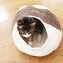 Natural Cat Bed Cocoon, thumbnail 1 of 2
