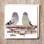 Birds Card Pigeons, thumbnail 2 of 2