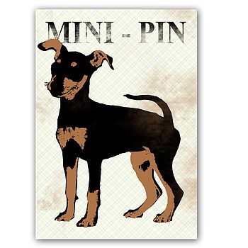 Mini Pin Miniature Pinscher Dog Print, 2 of 2
