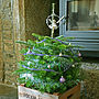 Personalised Christmas Tree Planter Crate, thumbnail 3 of 5