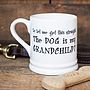 'The Dog Or Cat Is My Grandchild' Mug, thumbnail 1 of 3