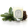 Uplifting Pine Needle Natural Christmas Candle, thumbnail 2 of 4