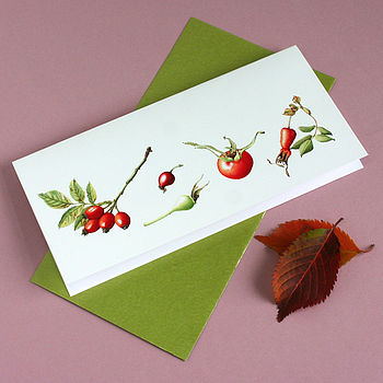 'Rose Hips' Botanical Autumn Card, 2 of 2
