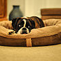 Wraparound Fleece Dog Bed Large, thumbnail 4 of 12