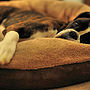 Wraparound Fleece Dog Bed Large, thumbnail 9 of 12