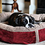 Wraparound Fleece Dog Bed Large, thumbnail 1 of 12