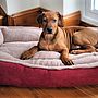 Cradle Fleece Dog Bed, thumbnail 4 of 12