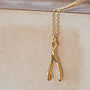 23k Gold Wishbone Necklace, thumbnail 1 of 3