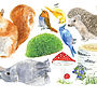 Garden Animals Wall Sticker, thumbnail 2 of 2
