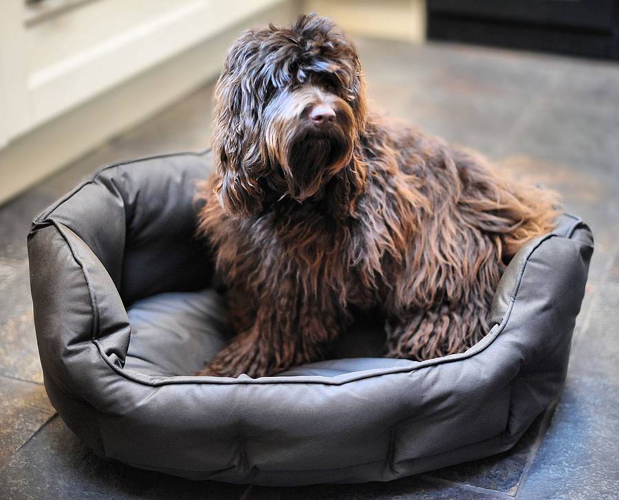 quilted waterproof dog bed by wolfybeds