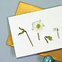Card With Christmas Rose Illustrations, thumbnail 2 of 3