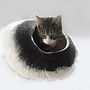 Cat Bed In Two Tone Colour With Ball, thumbnail 2 of 8