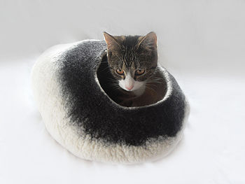 Cat Bed In Two Tone Colour With Ball, 2 of 8