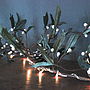 Leaf And Berry Lights, thumbnail 4 of 4