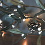 Leaf And Berry Lights, thumbnail 1 of 4