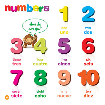 Spanish For Kids Bilingual Book And Free Dvd, 7 of 7