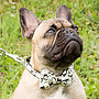 Snowmen Bow Tie Dog Collar, thumbnail 1 of 2