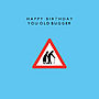 'Happy Birthday You Old Bugger' Card, thumbnail 2 of 2