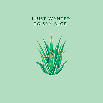 'I Just Wanted To Say Aloe' Card, 2 of 2