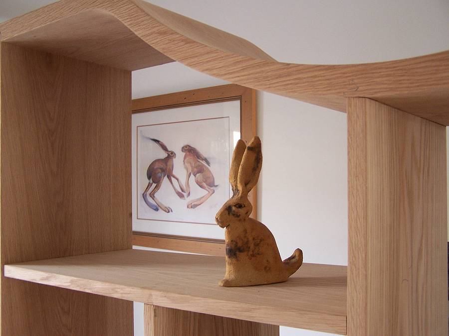 Omega Shelves By Chipp Designs