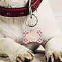 Personalised Clover Pet Tag Bone Shaped, thumbnail 7 of 11