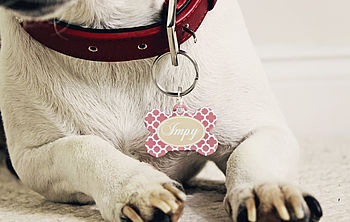 Personalised Clover Pet Tag Bone Shaped, 7 of 11
