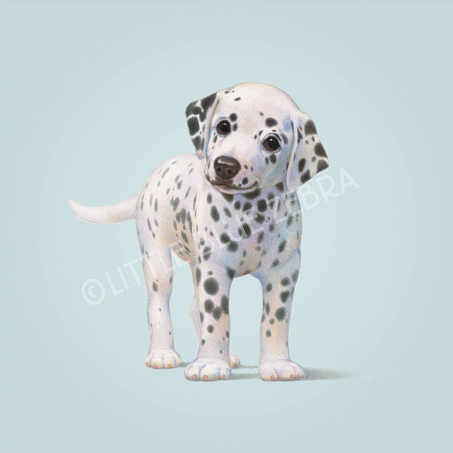 illustrated dog print by little blue zebra