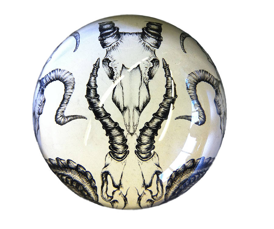 skulls paperweight by natural history the origin of style