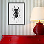 'Vintage Beetle Insect Illustration' Print, thumbnail 4 of 7