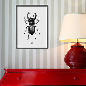 'Vintage Beetle Insect Illustration' Print, 4 of 7