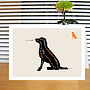 Personalised Box Of Dog Notecards: 13 Breeds Available, thumbnail 2 of 12