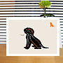 Personalised Box Of Dog Notecards: 13 Breeds Available, thumbnail 5 of 12
