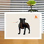 Personalised Box Of Dog Notecards: 13 Breeds Available, thumbnail 8 of 12