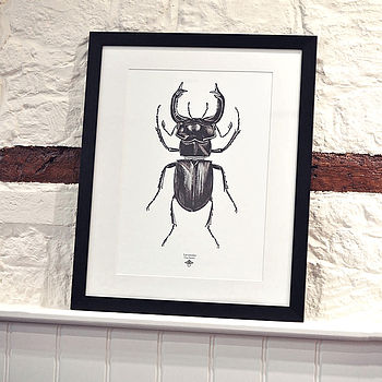 'Vintage Beetle Insect Illustration' Print, 3 of 7