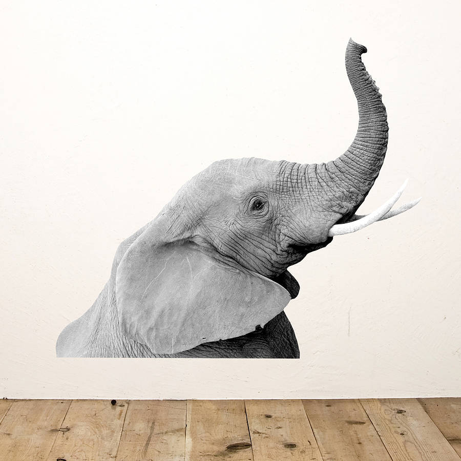 Elephant Wall Sticker By Oakdene Designs | notonthehighstreet.com