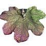 Real Resin Coated Maple Leaf Necklace, thumbnail 1 of 3