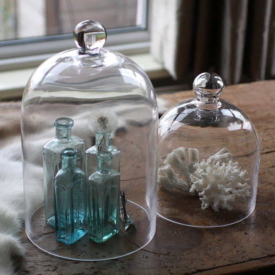 glass display cloche by magpie living | notonthehighstreet.com