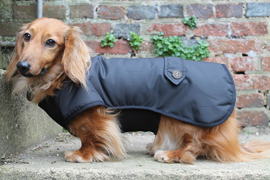 plush dog coat