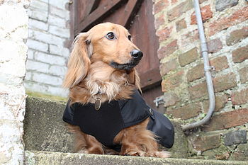 Waterproof Dachshund Underbelly Dog Coat, 2 of 3