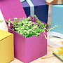 Decorative Gift Wrap Paper Shredding, thumbnail 6 of 7