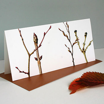 ' Winter Branches ' Botanical Card, 2 of 3