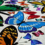 Butteflies Map Of The World Art Print, thumbnail 4 of 6