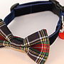 Dougal Tartan Bow Tie Dog Collar By Scrufts, thumbnail 1 of 1