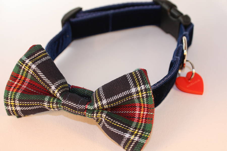 Dougal Tartan Bow Tie Dog Collar By Scrufts