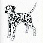 Illustrated Dalmatian Blank Card, thumbnail 2 of 4